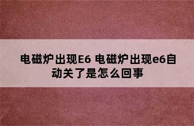 电磁炉出现E6 电磁炉出现e6自动关了是怎么回事